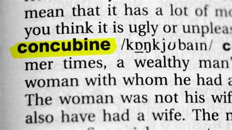 wat is een concubine|Concubine Definition & Meaning